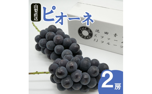 厳選 ピオーネ 1.0kg 2房入り【2024年発送】（IS）B-478 - 山梨県甲州市｜ふるさとチョイス - ふるさと納税サイト