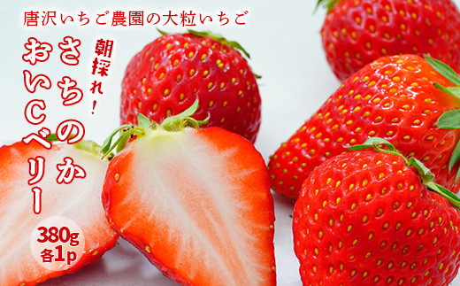 先行予約】 いちご 食べ比べ さちのか ＆ おいCべりー 唐沢いちご農園