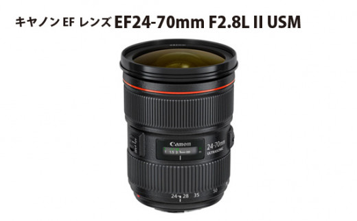 No.308 キヤノン EFレンズ EF24-70mm F2.8L II USM ／ Canon 高性能大