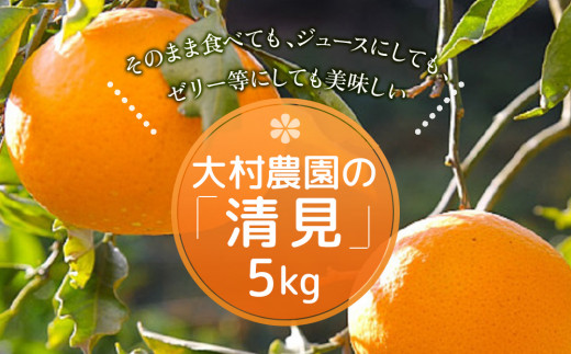 sd1_ead1ab24ce0b4669d3206113b4