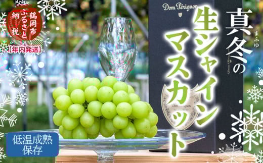 yR`߉szyߘa7NY Nz ^~̐VC}XJbg@600g@ቷnۑ@①@R`߉Y@JtԂǂ