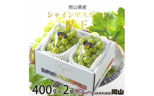 【岡山県津山市】<2026年7月中旬より順次発送>岡山県産 シャインマスカット 晴王 400g×2房【1365932】