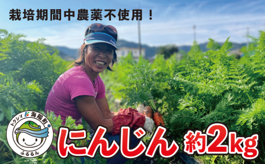 日本を平和にする人参 Peace Carrots 約２ セット 人参 約2kg 栽培期間中 農薬不使用 にんじん ニンジン 野菜 カロテン 食物繊維 栽培期間中農薬不使用 徳島県海陽町 ふるさとチョイス ふるさと納税サイト