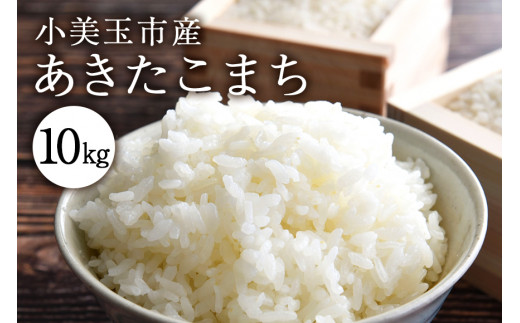 令和5年産新米】コシヒカリ 5kg こしひかり 米 白米 茨城県産 新米 お