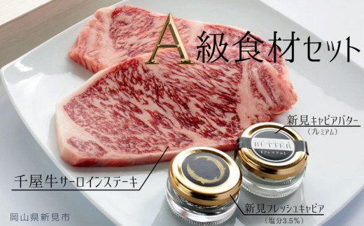 AB-280 A級食材セット 千屋牛サーロインステーキ・新見フレッシュ