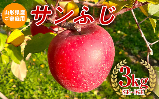先行予約 【農業者支援】《ご家庭用》2023年度 山形県産 サンふじ