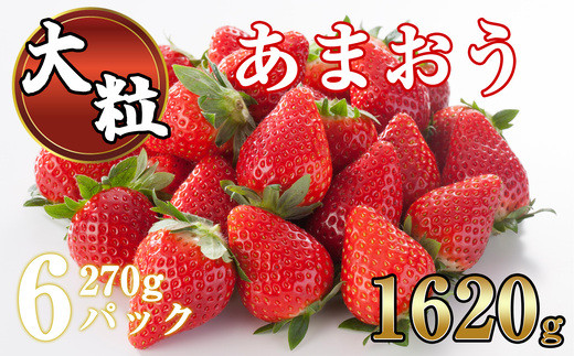 累計10万パック発送！ 福岡県産 大粒 あまおう 1620g (270g平パック×6