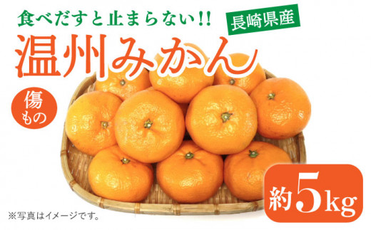 【2024年11月下旬～発送】【高糖度】 温州みかん 約5kg（傷もの） / みかん 南島原市 / 南島原果物屋 [SCV014]