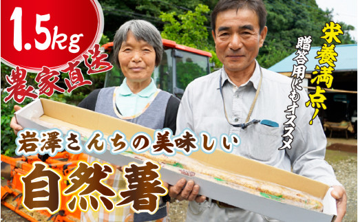 自然薯1.5キロお正月用に！