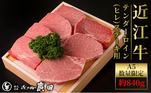 yꌧΓszʌA5N茵Iyߍ]̜Aczߍ]e_[CiqjXe[Lp7 v840g[5748-0405]