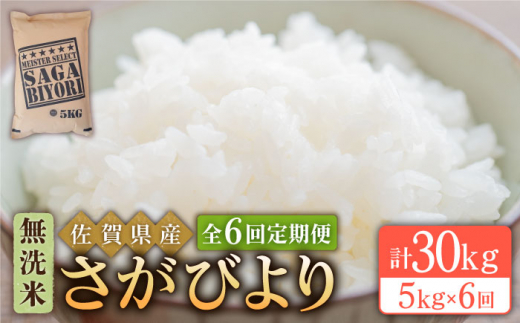 【13年連続 特A受賞】令和5年産 新米 さがびより 無洗米 5kg【五つ