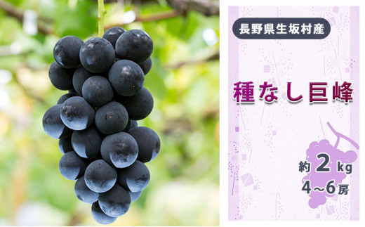 y쌧⑺zy2026Ns\zȂ4`6[1.7`2kg ʕ t[c ʕ VN X