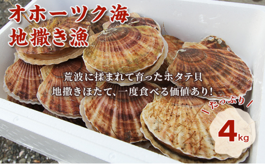 食品北海道オホーツク産、片貝ホタテ4キロ - 魚介類(加工食品)