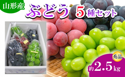 山形市産ぶどう 3種セット 秀 約1.5kg (9月発送) 【令和7年産先行予約】FS24-663くだもの 果物 フルーツ 山形 山形県 山形市  2025年産 - 山形県山形市｜ふるさとチョイス - ふるさと納税サイト