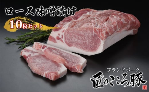 y葺zuh|[Nû؁v[XXЂ@10ZbgySES@JGAPE_HACCPF؎擾z [5734-0093]