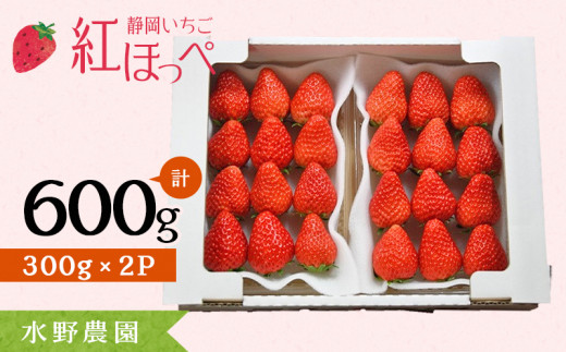 １７６８ 掛川産完熟いちご 紅ほっぺ 300g×2P 計600ｇ (8～15粒入×2P