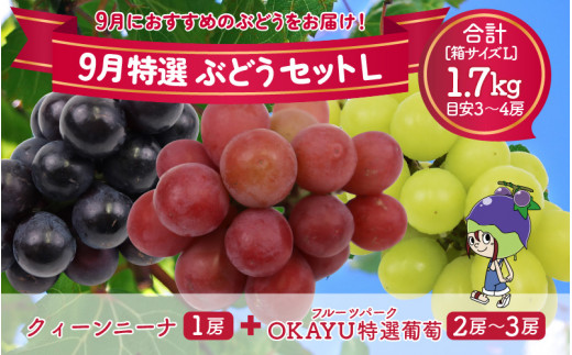 【先行予約】9月特選 ぶどうセットL 1.7kg以上（3～4房）／ 葡萄 クイーンニーナ 品種 おまかせ あわら 農家おすすめ  ※2023年9月より順次発送