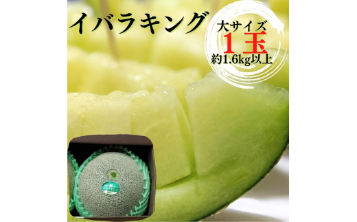 茨城県産 イバラキング L 6個 メロン イバラキングメロン（大）1玉（約1.6kg以上） - 茨城県鉾田市