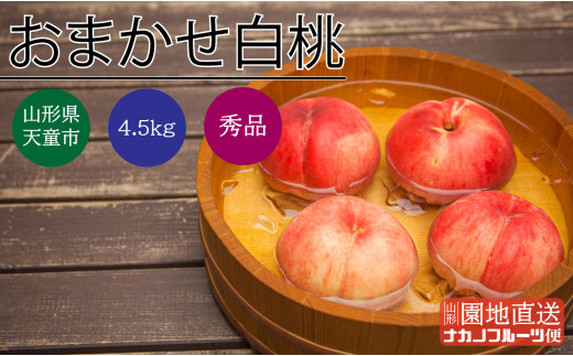 yR`Vsz08-06-011@(܂)4.5kg