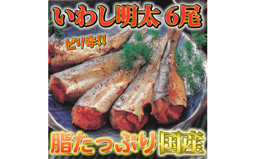 ふるさと納税 【全12回定期便】ピリ辛 いわし明太20尾《築上町》【株式