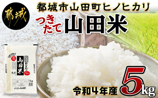 y{茧sszĎRc5kgissRcYqmqJj -  ߘa4NV {茧ssRcYqmqJ 5kg×1 ۑɕ֗ȃ`bNtđ   {茧Y sY Ă̕i