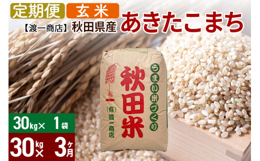 定期便3ヶ月》あきたこまち 玄米 30kg（30kg×1袋） 秋田県産 令和4年産