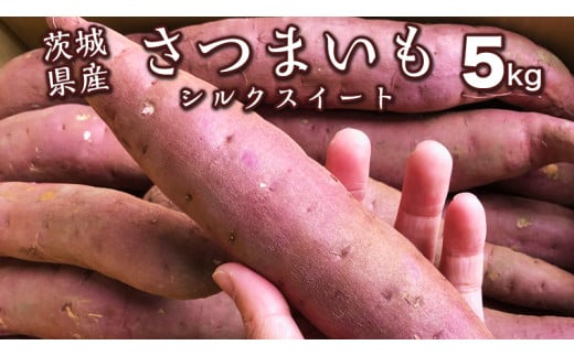 茨城県産 さつまいも 5kg （ シルクスイート ） サツマイモ さつま芋 ...