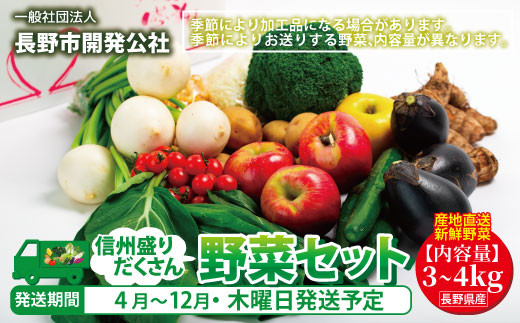 [№5657-2871]【産地直送新鮮野菜】長野県産 信州盛りだくさん野菜セット 3kg～4kg《一般社団法人　長野市開発公社》