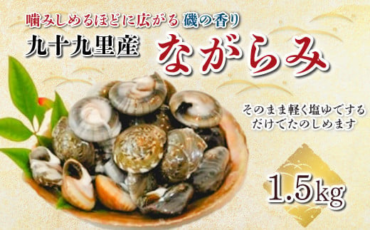 九十九里産 ながらみ 500g×3 計1.5kg ふるさと納税 ながらみ 九十九里産 貝 国産 手土産 千葉県 ひなまつり ひな祭り 雛祭り 雛まつり  節句 送料無料 SHF006 - 千葉県白子町｜ふるさとチョイス - ふるさと納税サイト