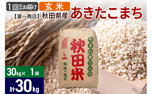 最新作人気 秋田県産 あきたこまち 玄米 30㎏ 精米可能 Vt95n