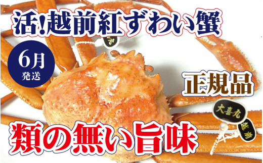 y䌧zOzIzO g킢 × 1t |_IIygYCKj g킢I  Jj I p  {C ① 䌧zy6zyl䥂ł͂z]ws [e37-x002_06b]