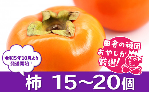 柿15～20個【令和5年10月より発送開始】田舎の頑固おやじが厳選