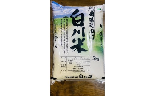 訳あり ・ 数量限定 】令和3年収穫 白川米 ( 夢つくし ) 白米 5kg お米 - 福岡県苅田町｜ふるさとチョイス - ふるさと納税サイト