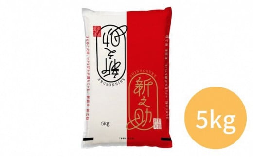 yVc㒬z[5882-0107]ߘa7NY VV@5kg 