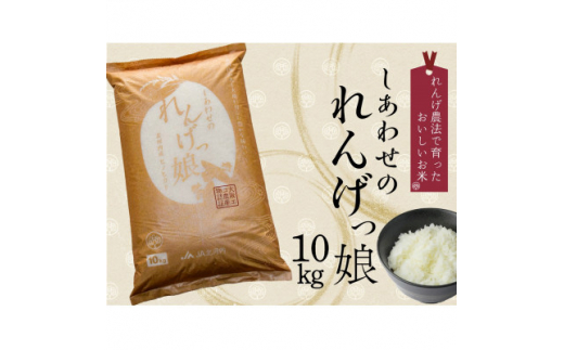 y{sz킹̂񂰂 10kg ()y1300797z