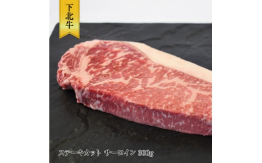 yXނszk@T[C@Xe[L@300g@ނsy1368743z