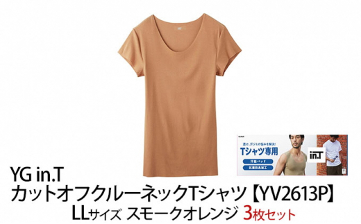 グンゼ YG in.T カットオフクルーネックTシャツ【YV2613P】LLサイズ