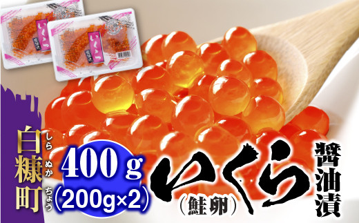 いくら醤油漬(鮭卵) 400g(200g×2) いくら イクラ 小分け 賞味期限1年