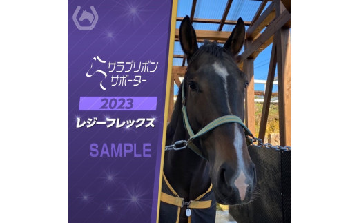 サンプル写真
