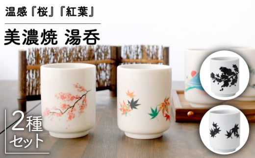 温度で変化する】【美濃焼】 湯呑 （2個） 『 桜 』『 紅葉 』【丸モ高木陶器】 ≪多治見市≫ 食器 湯呑み [TBA117] -  岐阜県多治見市｜ふるさとチョイス - ふるさと納税サイト