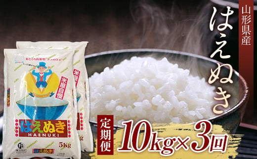 先行予約 2024年10月発送】山形県産はえぬき10kg（5kg×2) 定期便 全3回 F2Y-3922 - 山形県｜ふるさとチョイス -  ふるさと納税サイト