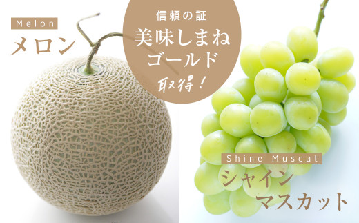ふるさと納税 【ふるさと納税限定】メロン食べ放題ペアチケット