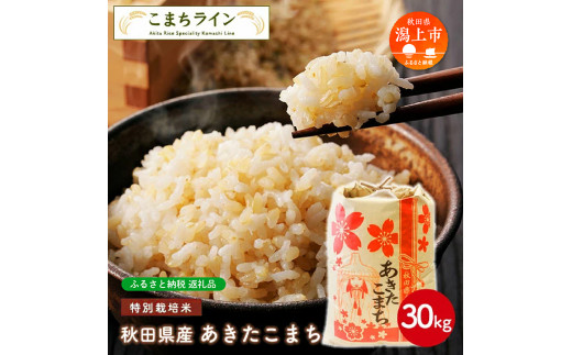 令和5年産 秋田県産 あきたこまち特別栽培米【玄米】30kg