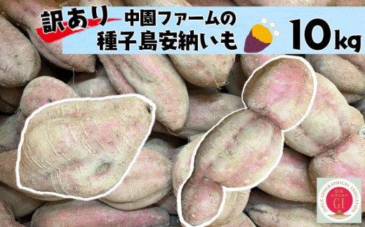 訳あり 中園ファーム 種子島 安納いも ( 生芋 ) 10kg NFN459 訳あり 中園ファーム 種子島 安納いも ( 生芋 ) 10kg NFN459
