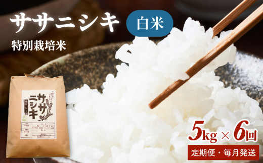 y{錧Ίszyցzʍ͔| TTjVL 30kgy5kg S6z