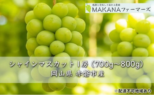 ぶどう 2024年 先行予約 シャイン マスカット 1房 700g～800g 大粒 種無し ブドウ 葡萄 岡山県 赤磐市産 国産 フルーツ 果物  ギフト MAKANAファーマーズ - 岡山県赤磐市｜ふるさとチョイス - ふるさと納税サイト