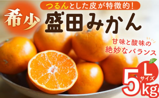 数量限定】盛田みかん Lサイズ 約5kg（約40～45個前後）ー2024年12月より発送ー 長与町/山口農園 [EBI003] みかん 柑橘 果物  フルーツ 季節限定 先行予約 数量限定 温州みかん ミカン 先行予約 長崎県産 長与町 長崎県長与町｜ふるさとチョイス ふるさと納税サイト