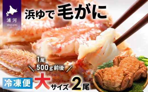 前浜産 ブランド銀毛鮭(天然)「銀聖」いくら醤油漬(500g×2箱)[02-298