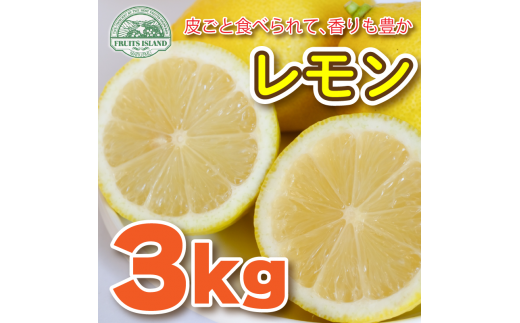 愛媛県産 国産レモン 果物 レモン 約3kg 国産 農薬不使用 柑橘
