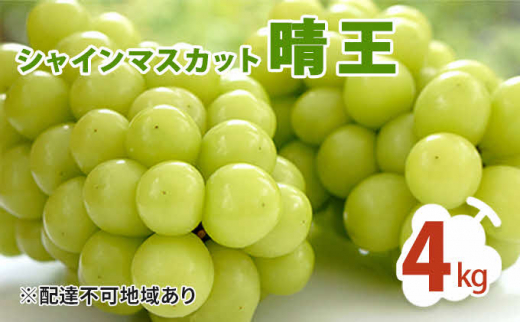 №5757-0302]シャインマスカット 晴王 4kg ぶどう 葡萄 フルーツ 果物